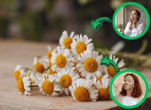 Chamomile Skincare Benefits for Soft, Radiant-Looking Skin