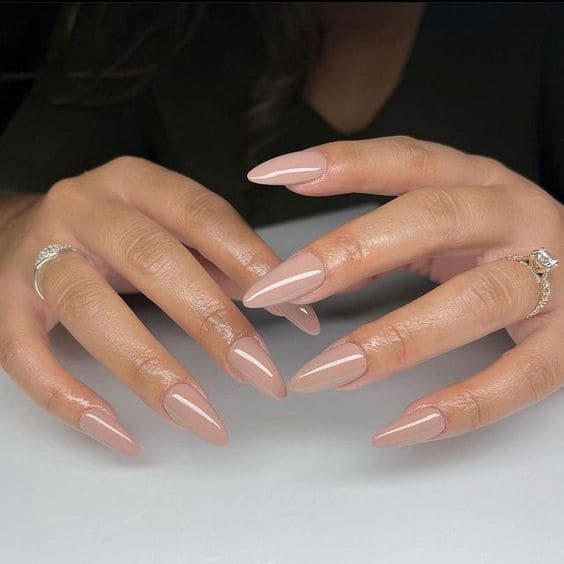 Brownish Nudes