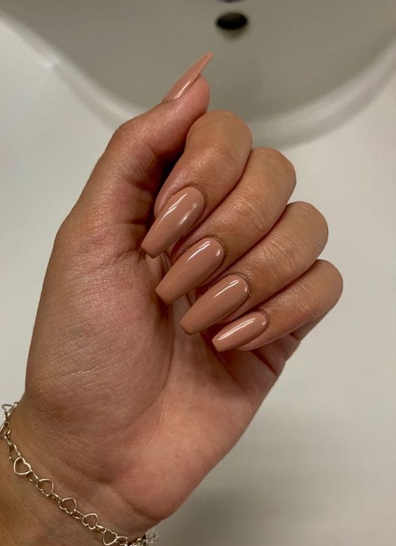 Brownish Nudes