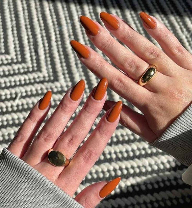 Burnt Orange Nails2