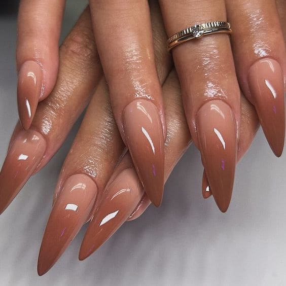 Cinnamon Brown Nails
