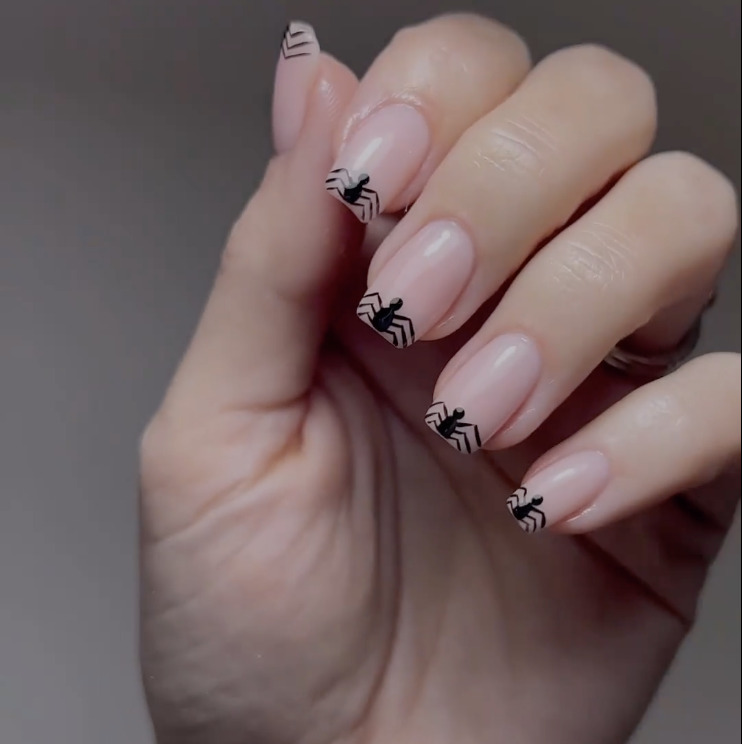 Cute Spider Tips