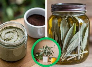 Sage Is The Natural Solution for Darker Richer Hair
