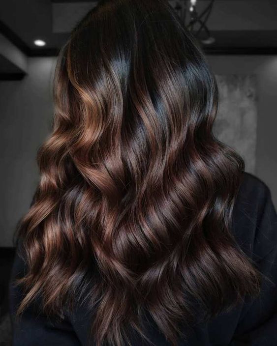 Deep Chocolate Brown Highlights