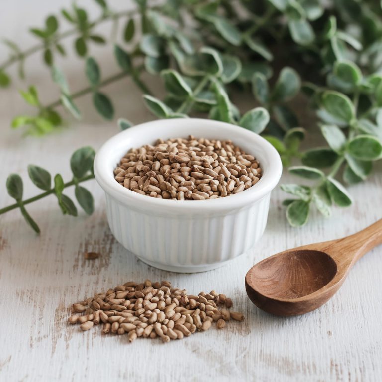 Fenugreek Seeds: Strengthen Follicles and Prevent Hair Loss