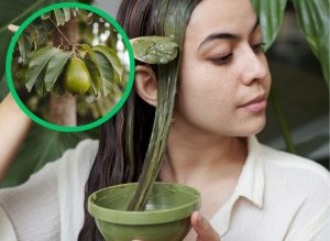 Guava Leaf Remedies for Natural Hair Growth