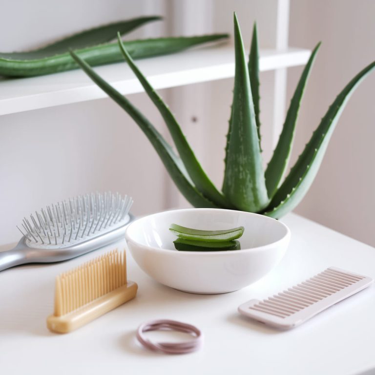 Hair Growth Using Aloe Vera Is Real