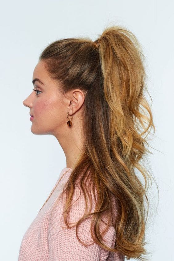 Half Up Half Down with a Ponytail