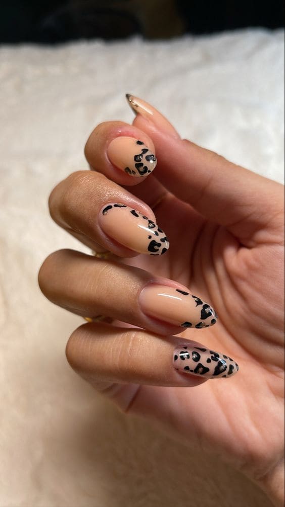 Leopard Manicurev