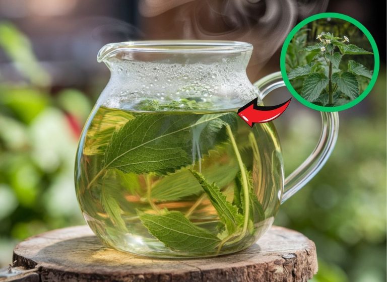 Drinking Nettle Tea Will Unlock Natural Beauty from Within