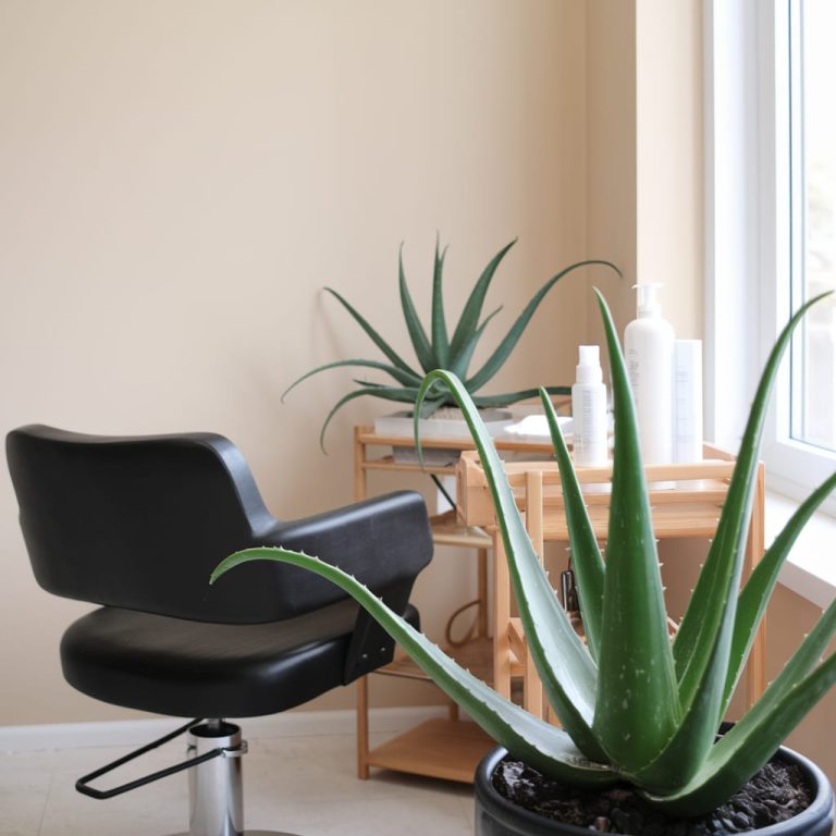 Nutrients in Aloe Vera