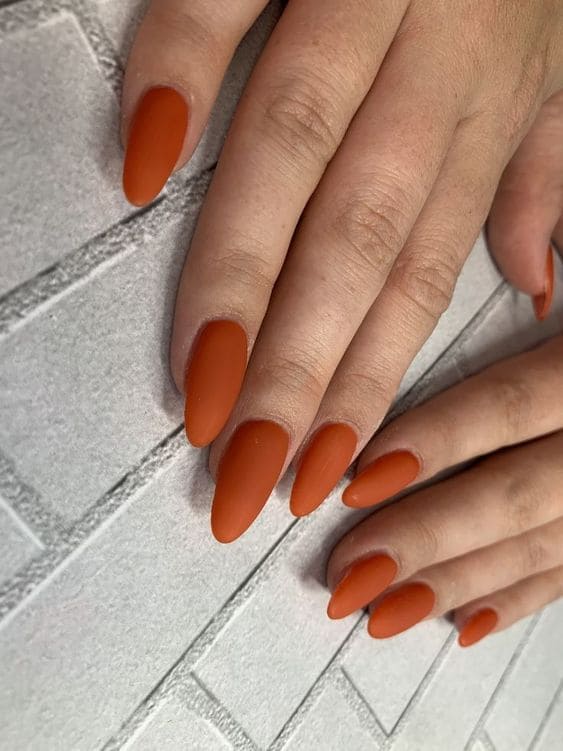 One-Tone Matte Fall Manicure