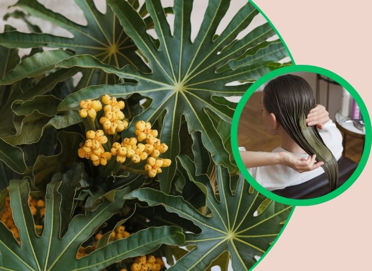 Papaya Leaves Are The Ultimate Secret to Gorgeous Hair