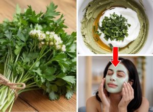 Parsley Is A Natural Collagen Booster for Timeless Beauty