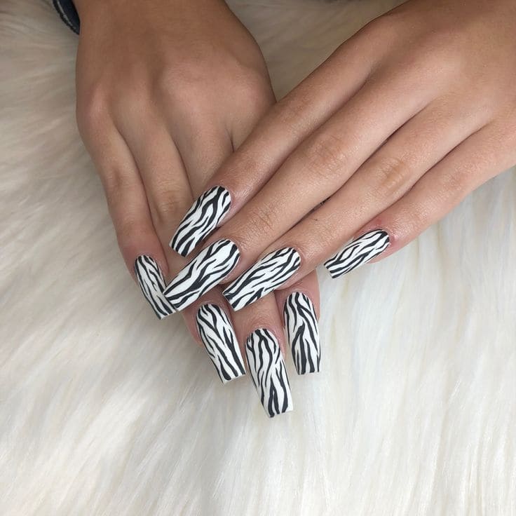 Simple Zebra Nails
