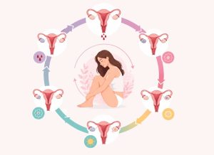 The Four Phases of the Menstrual Cycle You Should Know