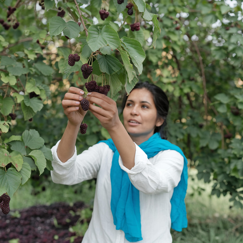 The Nutritional Power of Mulberries for Skin Health

