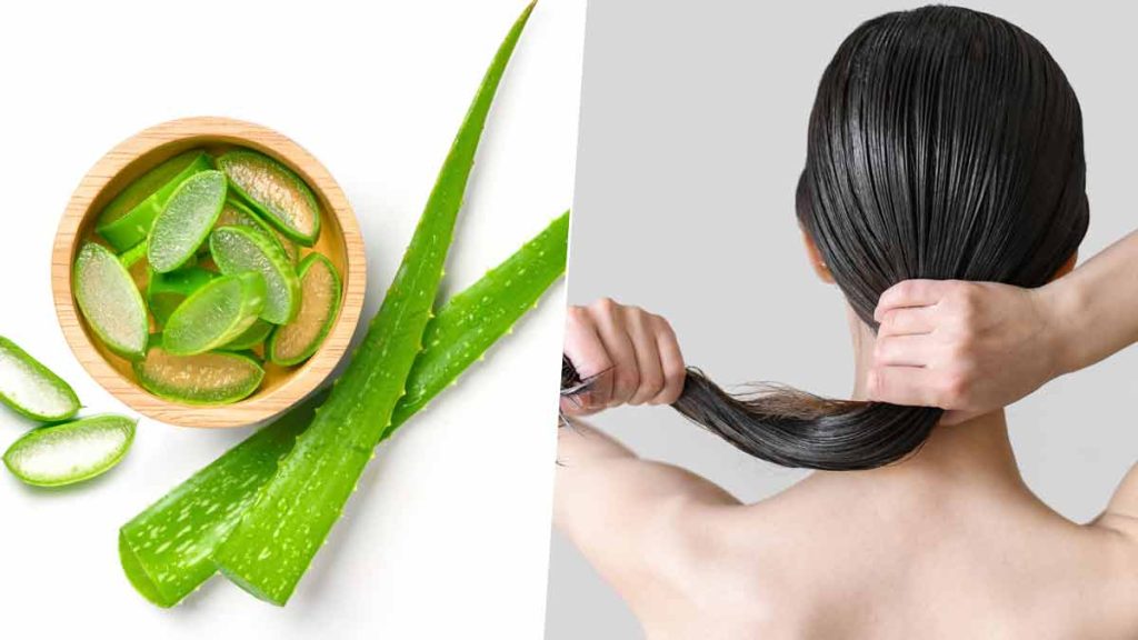 Use Aloe Vera To Have Silky Hair