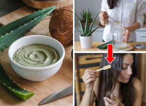 Say Goodbye to Hair Fall The Magic of Using Aloe Vera for Healthy Hair