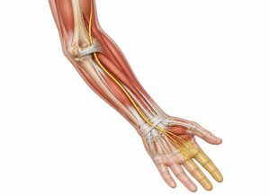 Ulnar Nerve Pain: Causes, Symptoms, and Funny Bone Tingling