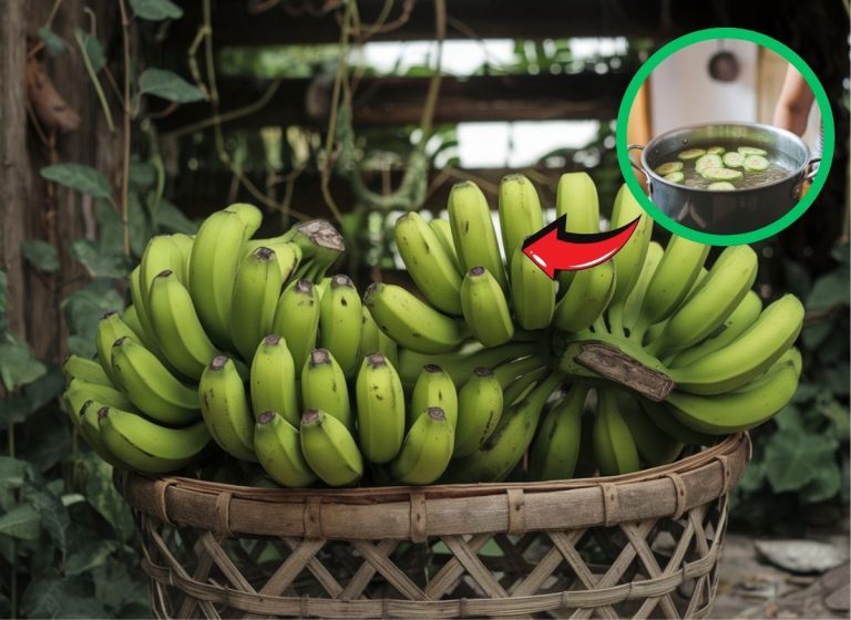 Glow from Within with the Skincare and Health Benefits of Green Banana Water