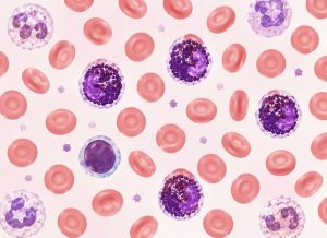 Basophil Count Explained: What High or Low Levels Mean for Your Health