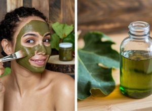 Your Ultimate Skincare Guide: The Surprising Benefits of Using Fig Leaves